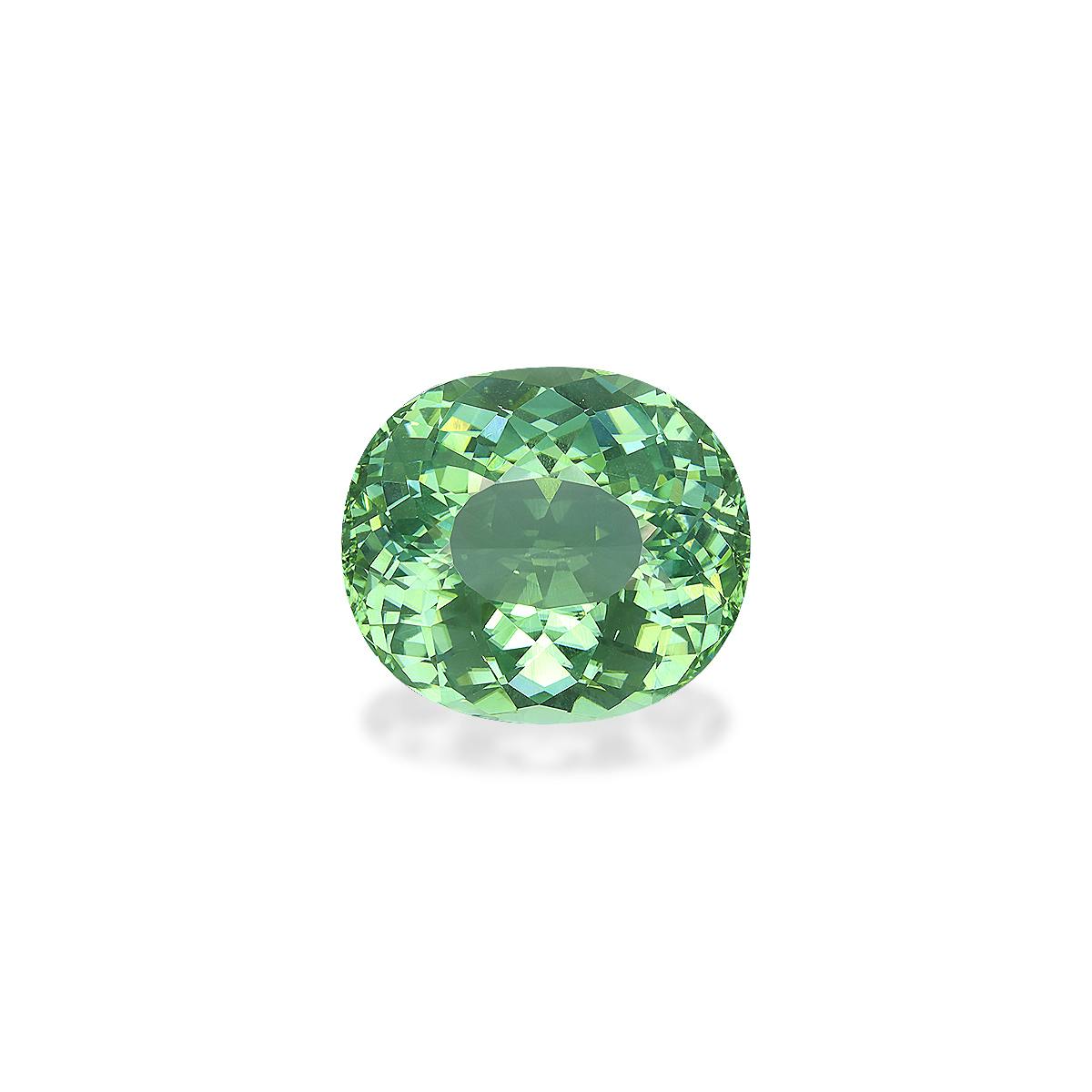 Buy Green paraiba tourmaline ns925nRing size 8