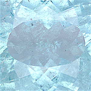 product close up Product closeup