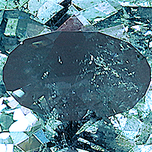 product close up Product closeup