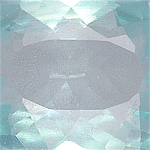 product close up Product closeup