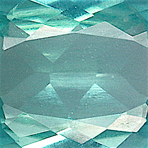 product close up Product closeup