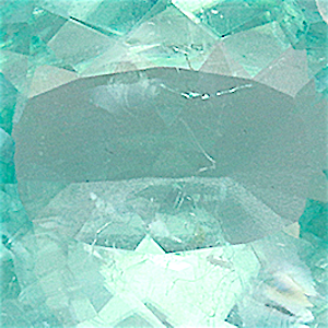 product close up Product closeup