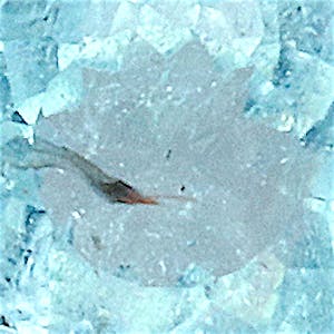 product close up Product closeup