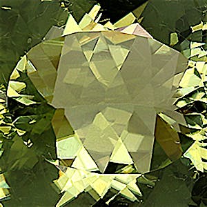 product close up Product closeup