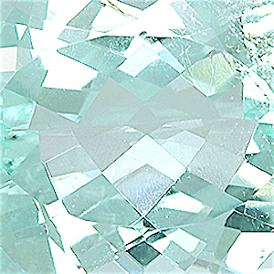 product close up Product closeup