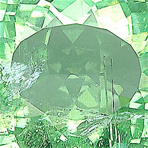 product close up Product closeup