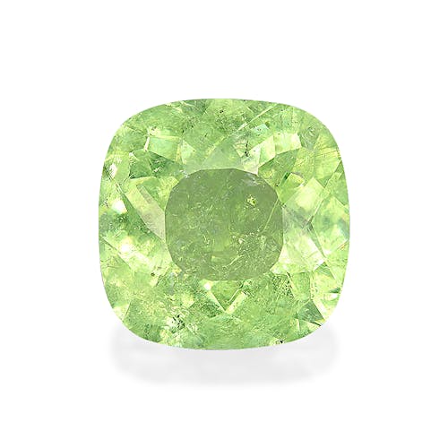 Product image-1 Product image-1