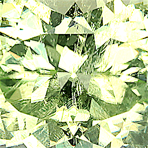 product close up Product closeup