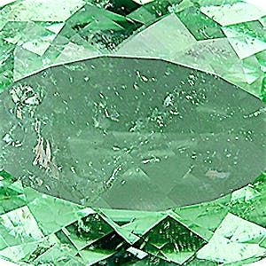 product close up Product closeup