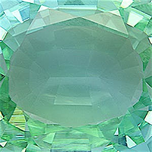 product close up Product closeup