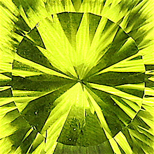 product close up Product closeup