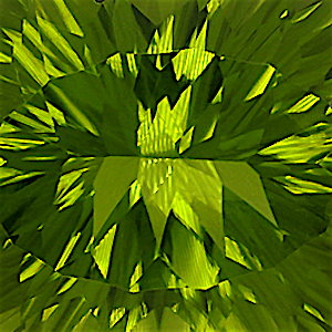 product close up Product closeup