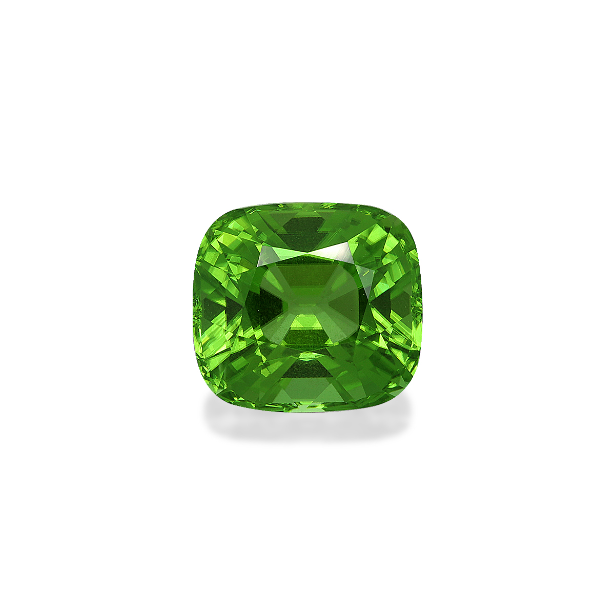 Vivid Green Peridot 10.13ct (PD0276)