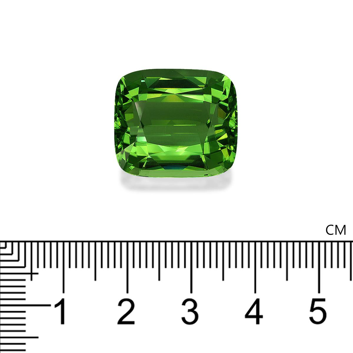 Vivid Green Peridot 31.78ct - 19x17mm (PD0310)