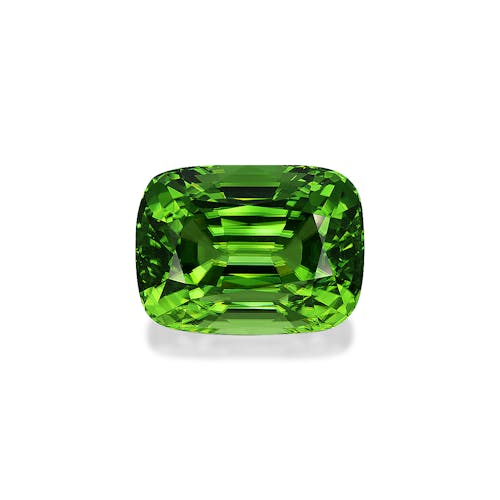 loose gemstones - PD0363