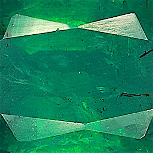 product close up Product closeup