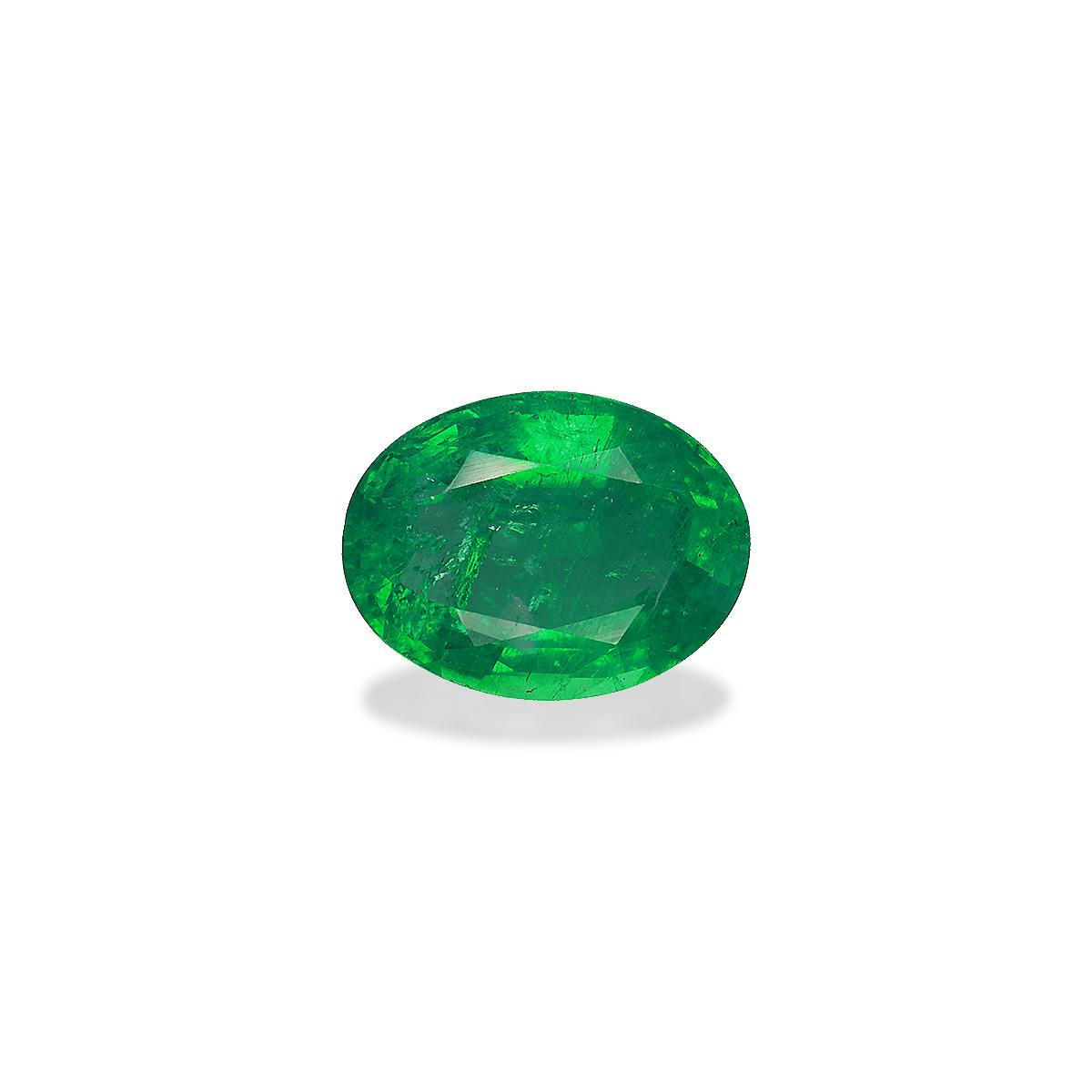 Green Zambian Emerald 8.77ct (PG0046)