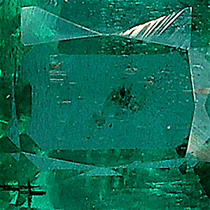 product close up Product closeup