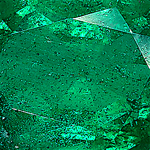 product close up Product closeup