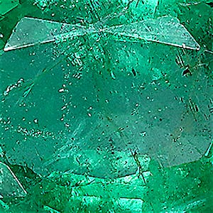 product close up Product closeup