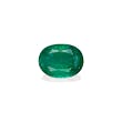 Green Colombian Emerald 6.67ct (PG0403)