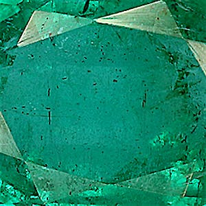 product close up Product closeup