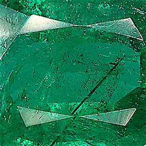 product close up Product closeup