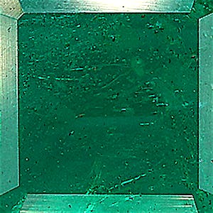 product close up Product closeup