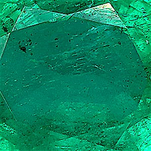 product close up Product closeup