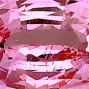 product close up Product closeup