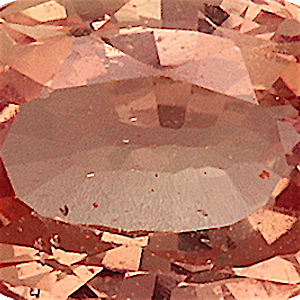 product close up Product closeup