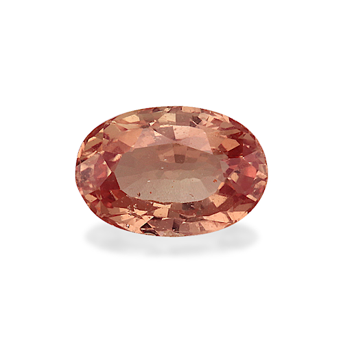 Product image-1 Product image-1