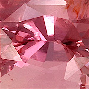 product close up Product closeup