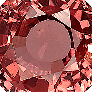 product close up Product closeup