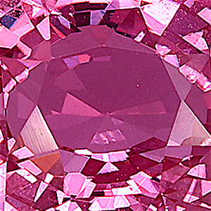 product close up Product closeup