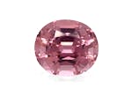 Picture of Flamingo Pink Tourmaline 22.43ct - 18x16mm (PT0195)