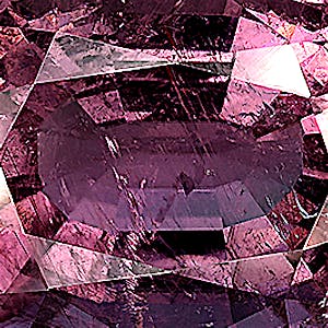 product close up Product closeup