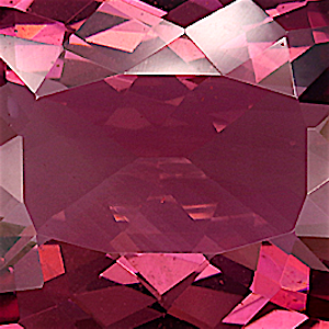 product close up Product closeup