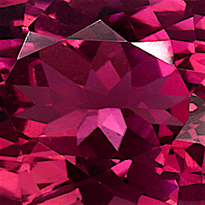 product close up Product closeup