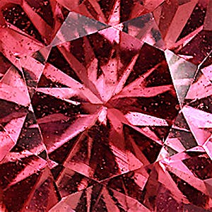 product close up Product closeup