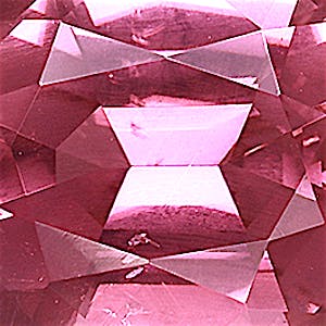 product close up Product closeup