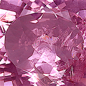 product close up Product closeup