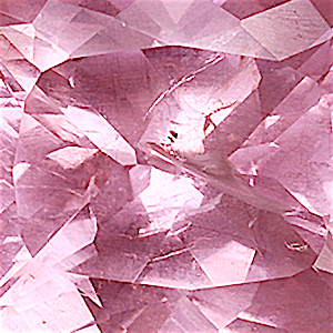 product close up Product closeup