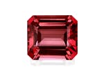 Picture of Rosewood Pink Tourmaline 16.80ct - 16x14mm (PT0891)
