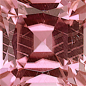 product close up Product closeup