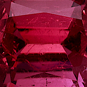 product close up Product closeup