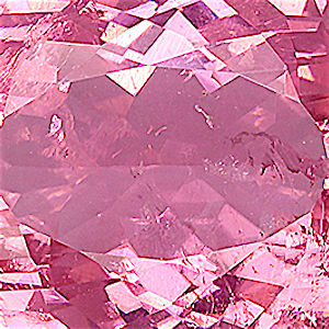 product close up Product closeup