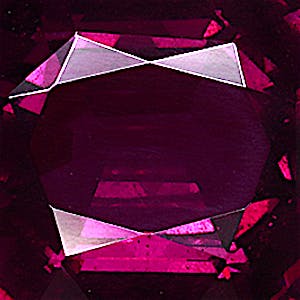 product close up Product closeup