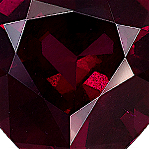 product close up Product closeup