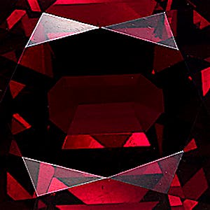 product close up Product closeup